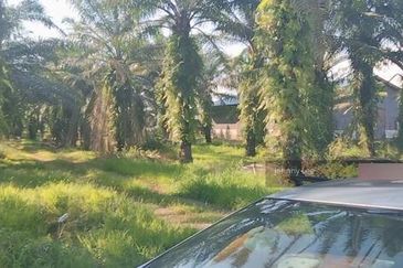 Banting @ Industrial