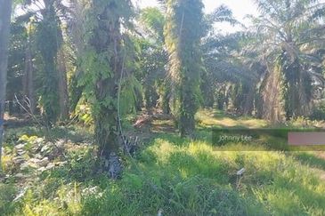 Banting @ Industrial