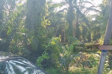 Banting @ Industrial