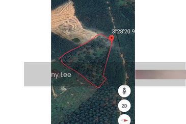 Bentong Karak Durian