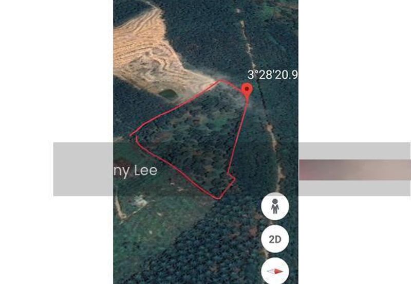 Bentong Karak Durian