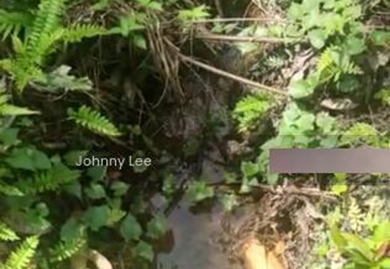 Bentong Karak Durian