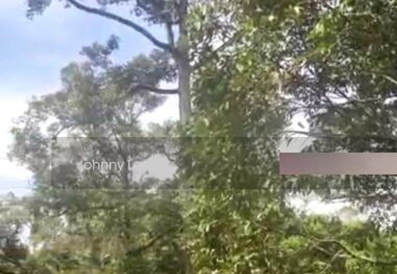 Bentong Karak Durian