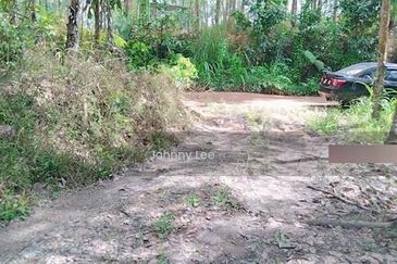 Bentong Karak Durian