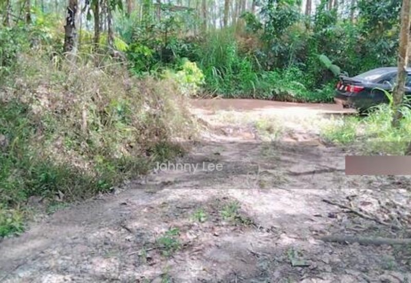 Bentong Karak Durian