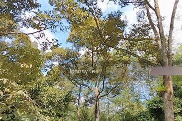 Bentong Karak Durian