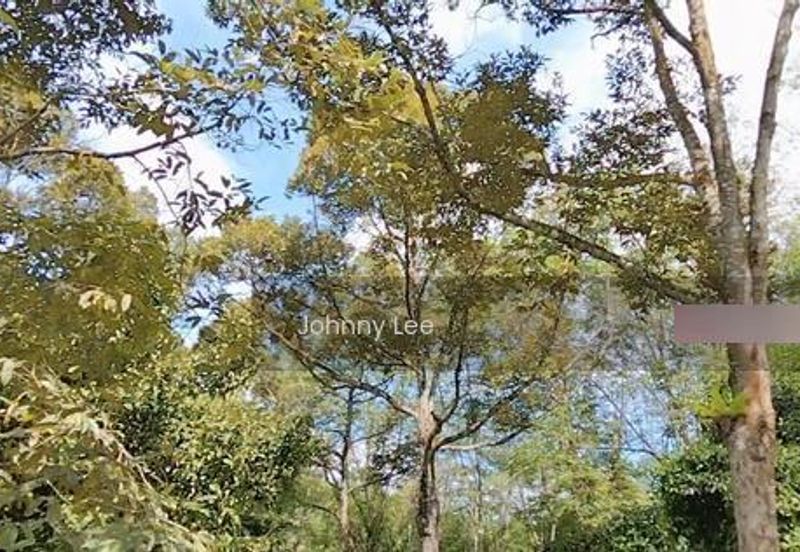 Bentong Karak Durian