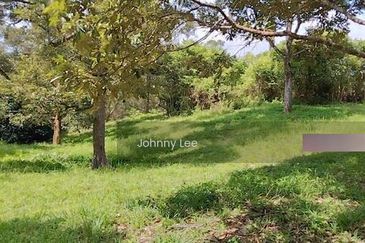 Bentong Karak Durian