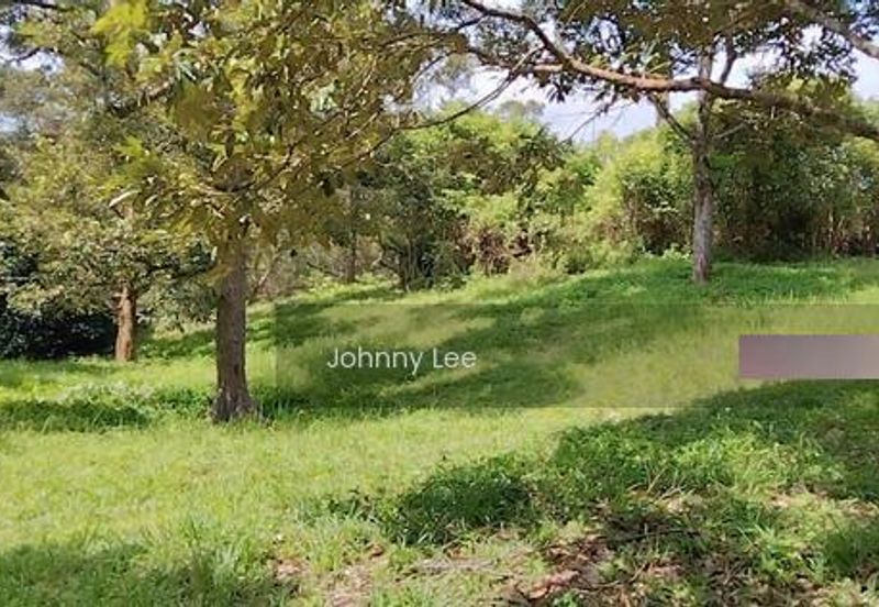 Bentong Karak Durian