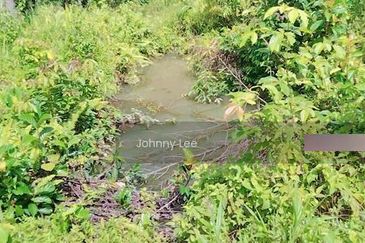 Bentong Karak Durian