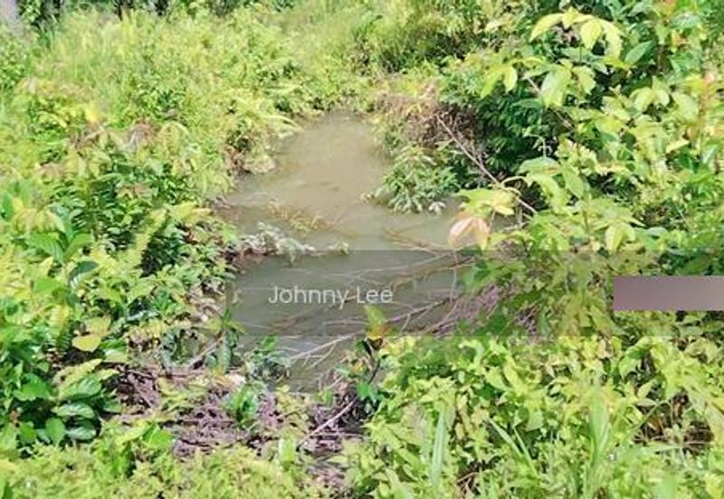 Bentong Karak Durian