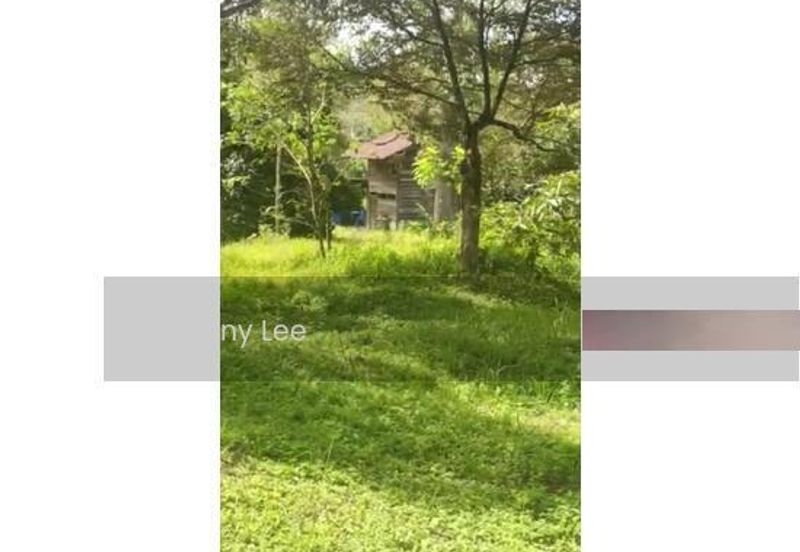 Bentong Karak Durian