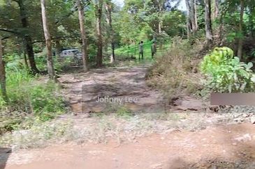 Bentong Karak Durian