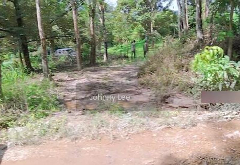 Bentong Karak Durian