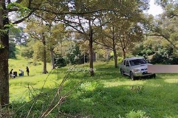 Bentong Karak Durian