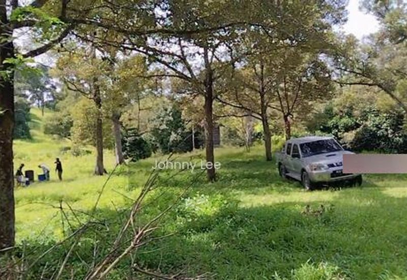 Bentong Karak Durian