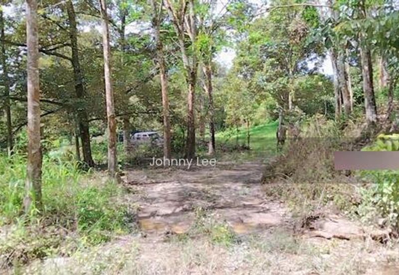 Bentong Karak Durian