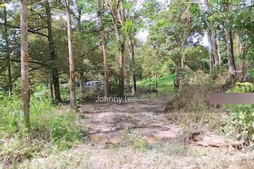 Bentong Karak Durian
