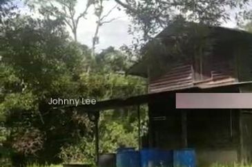 Bentong Karak Durian