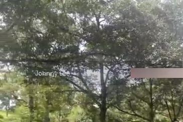 Bentong Karak Durian