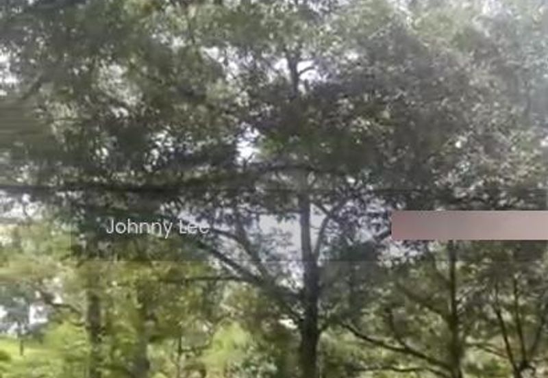 Bentong Karak Durian