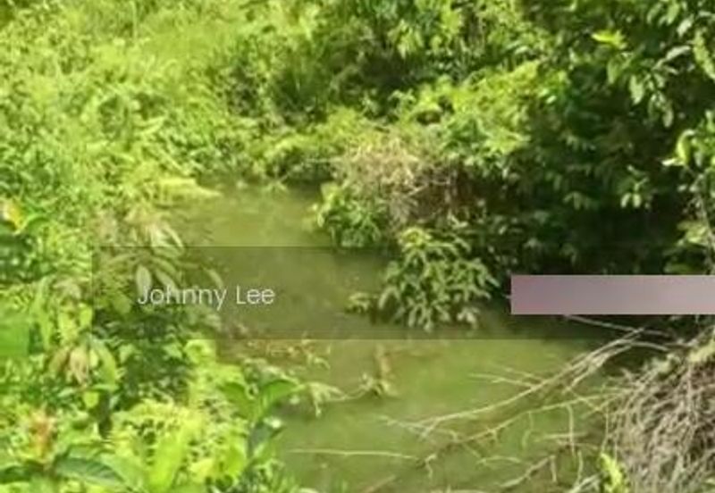 Bentong Karak Durian