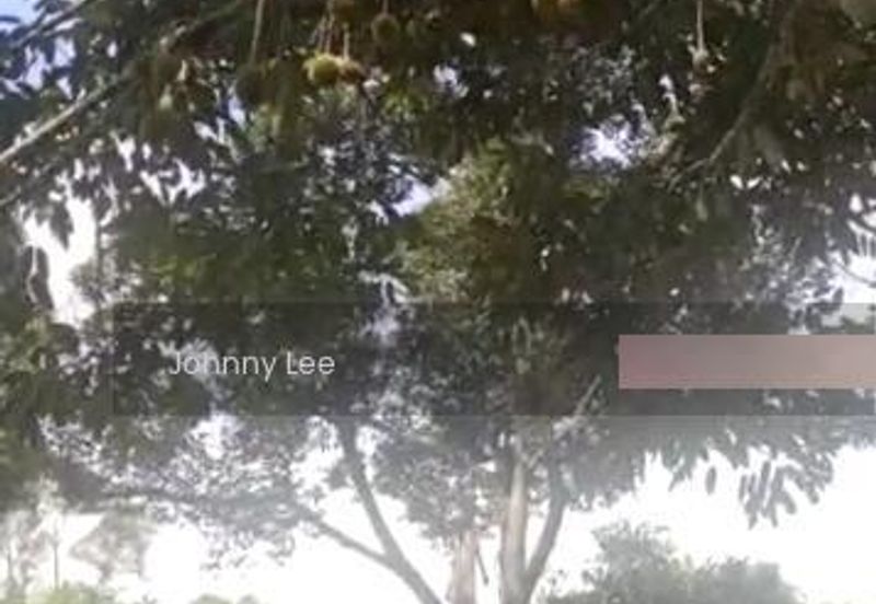 Bentong Karak Durian