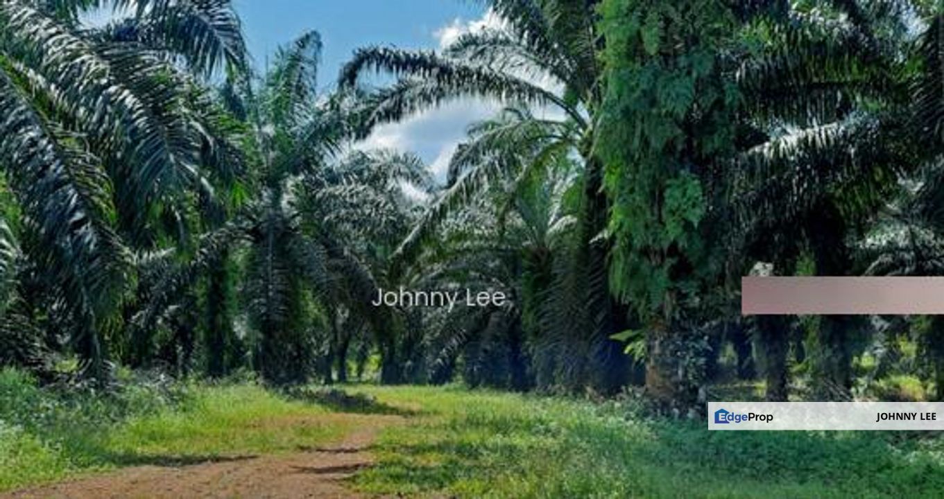 Kuantan Pahang, Pahang, Kuantan