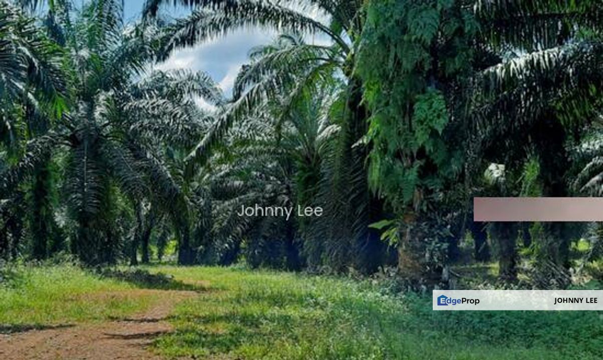 Kuantan Pahang, Pahang, Kuantan