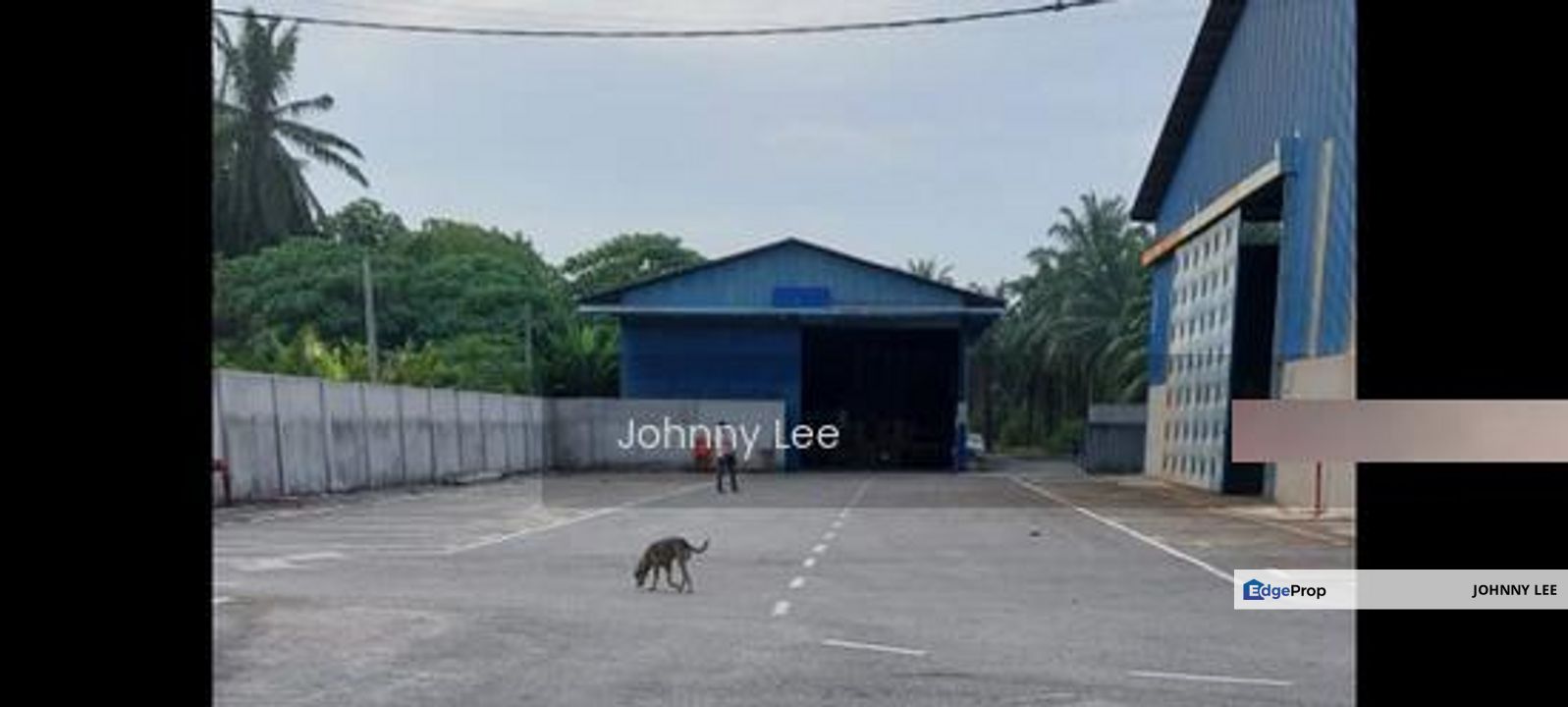 Seri Cheeding Banting, Selangor, Banting