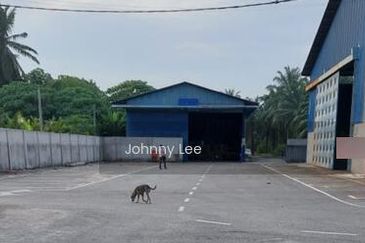 Seri Cheeding Banting