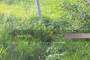 Tanah Pantai Sepat Kuantan