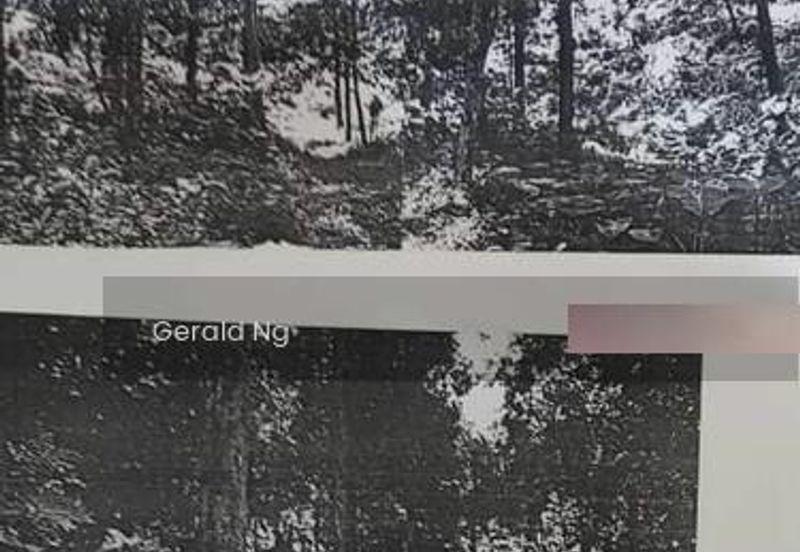 Bayan Lepas Agriculture land 400k Penang