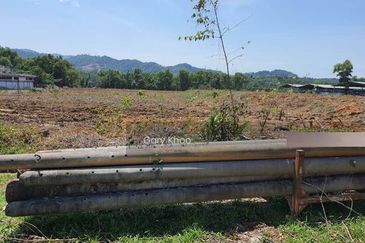 Bestari Jaya Batang Berjuntai Agril Land 15 Acre For rent