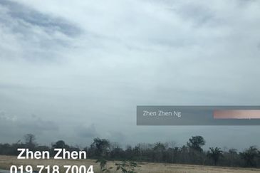 Tanjung Kupang, Gelang Patah, Agricultural Land For Sale