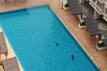 Palm Garden Apartment