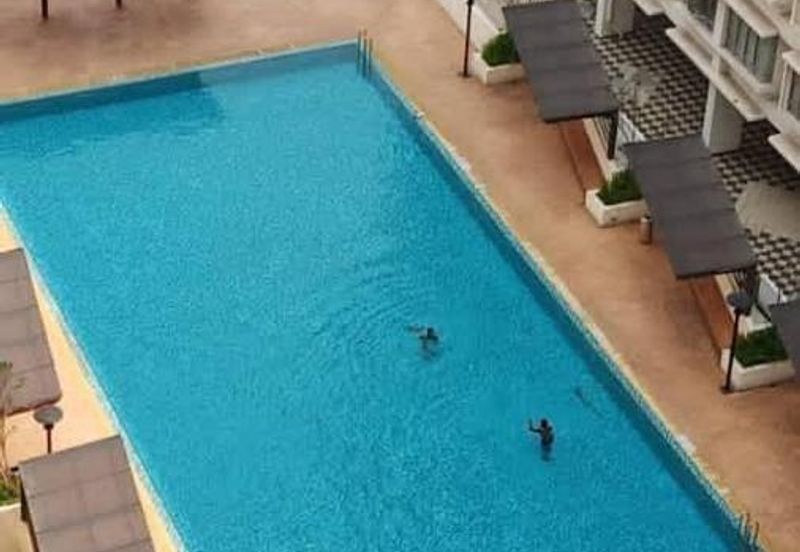 Palm Garden Apartment