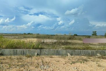 Bandar Universiti Pagoh, Pagoh Special Economic Zone (PSEZ) 