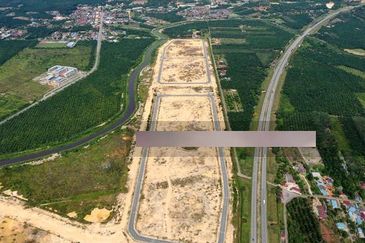 Bandar Universiti Pagoh, Pagoh Special Economic Zone (PSEZ) 