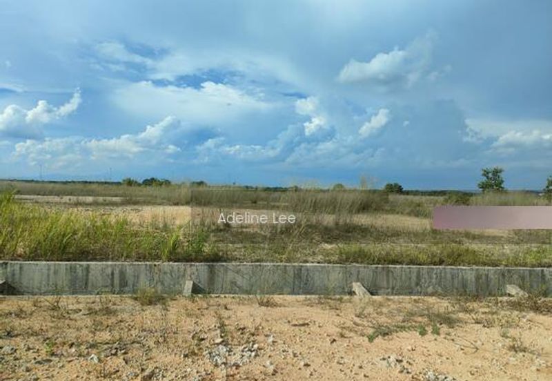 Bandar Universiti Pagoh, Pagoh Special Economic Zone (PSEZ) 