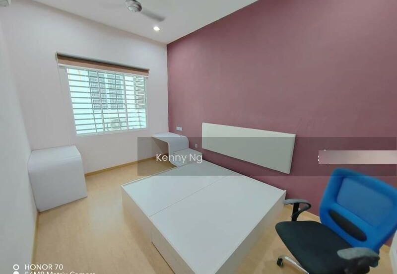 Nectandra, Setia Alam