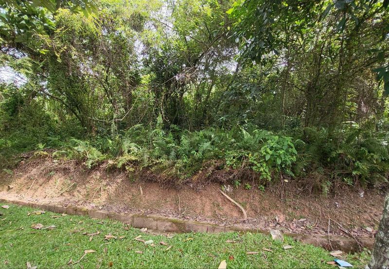 Damansara Heights (Bukit Damansara)