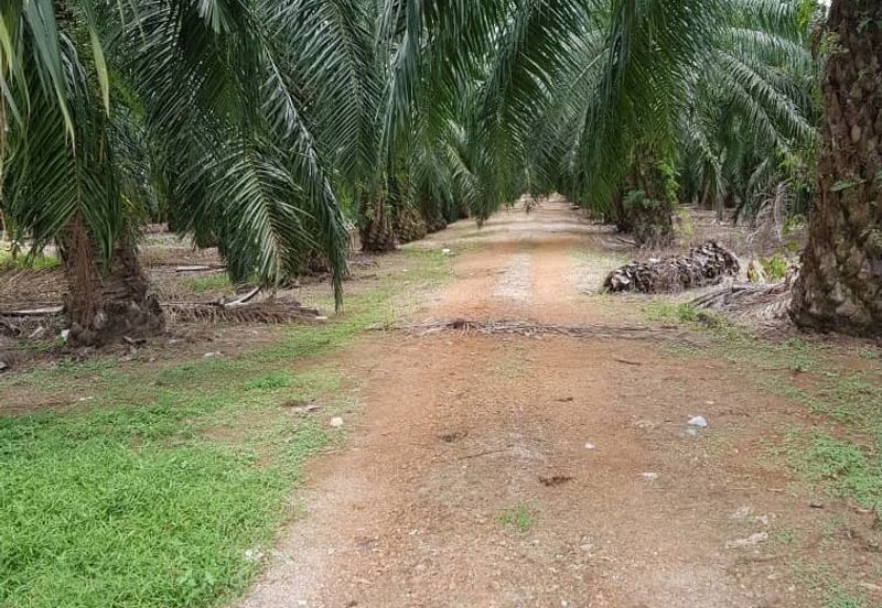 Jeram, Batu 20, Selangor Corner 8 acres Flat Land for sales