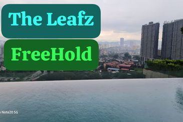 The Leafz