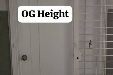 OG Heights