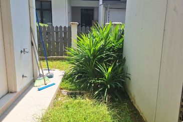 Tenderfields @ Eco Majestic