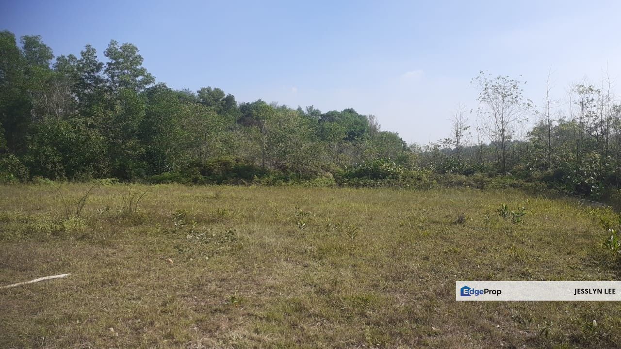 Tanah Kediaman Malay Reserve Pulau Meranti, Puchong  Freehold, Selangor, Puchong South