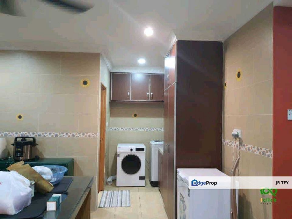 Anggerik Doritis @ Kota Kemuning, Shah Alam, Selangor, Selangor, Shah Alam