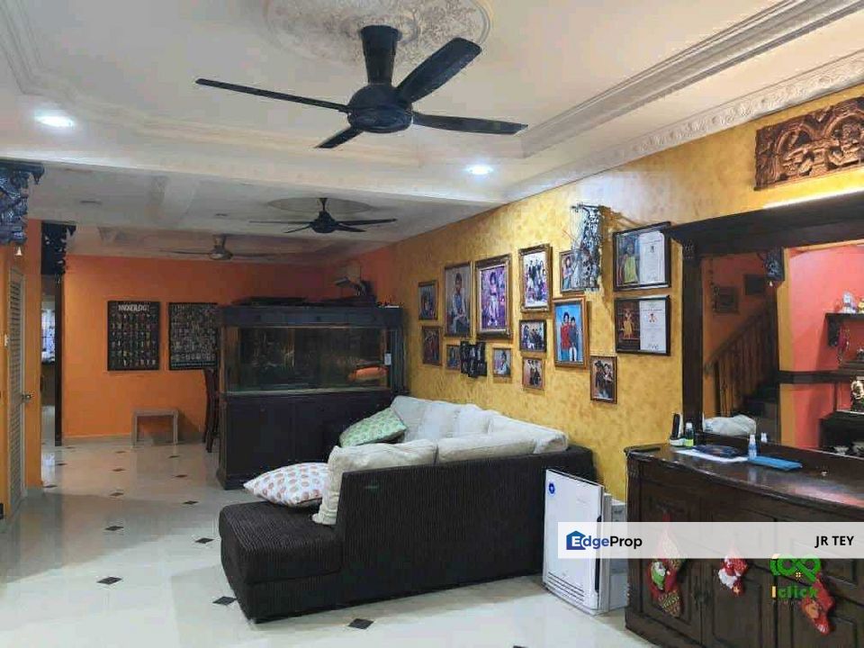 Anggerik Doritis @ Kota Kemuning, Shah Alam, Selangor, Selangor, Shah Alam