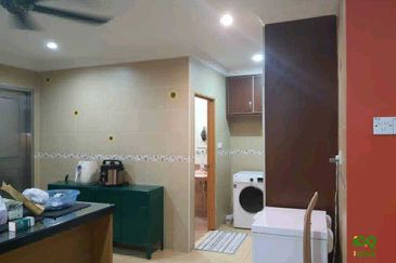 Anggerik Doritis @ Kota Kemuning